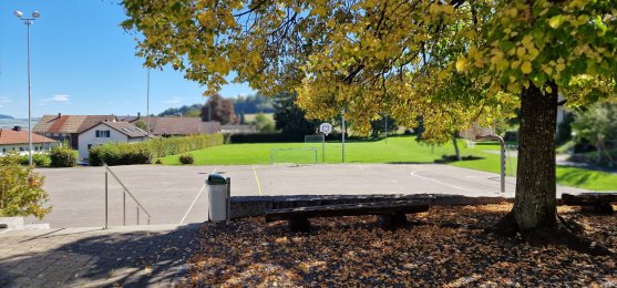 Leutwil - Pausenplatz und Sportwiese Leutwil