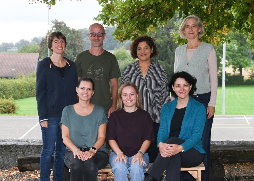 Schulteam